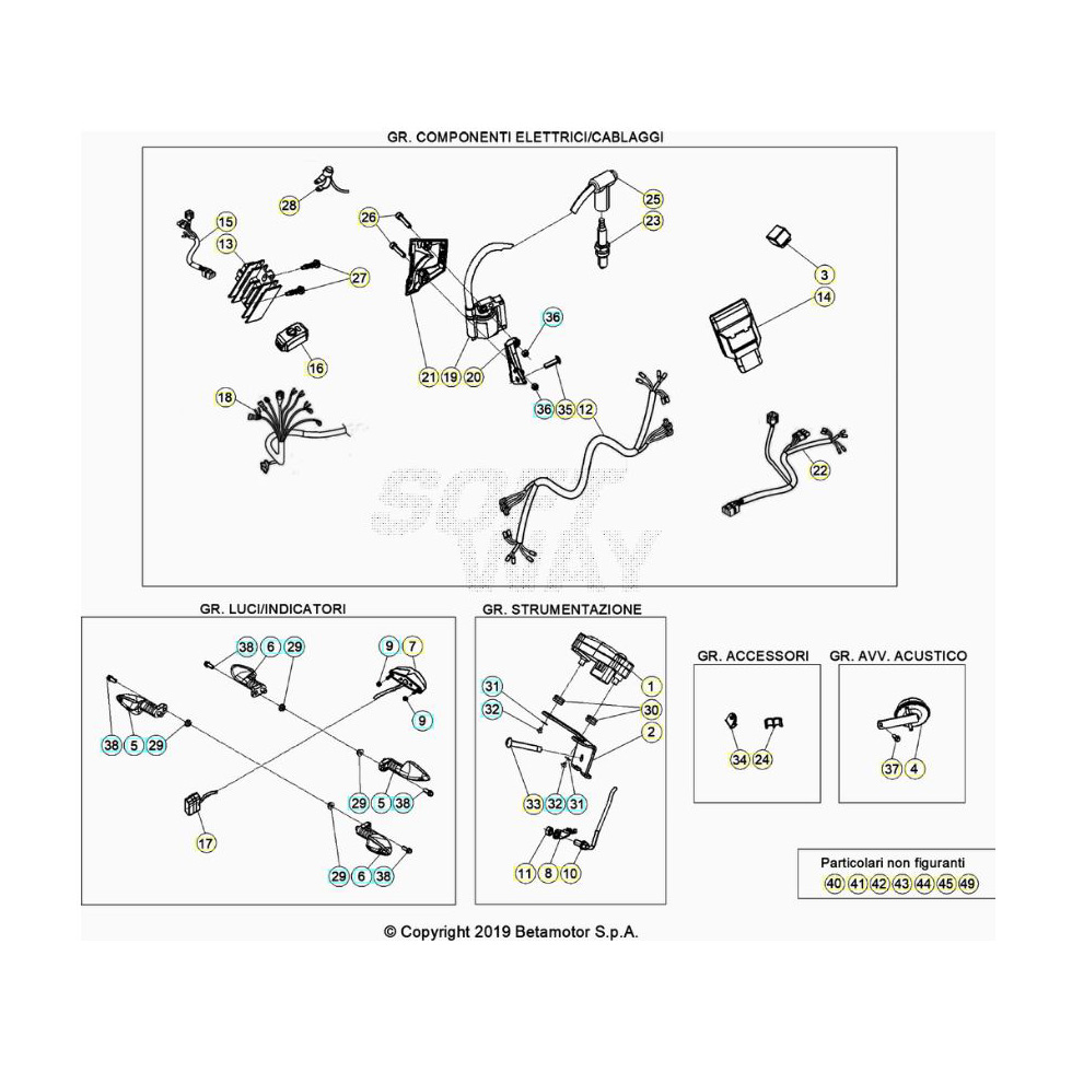 Beta EVO250 21 Kabelstrang Ersatzteile Beta EVO250 21 Kabelstrang Ersatzteile