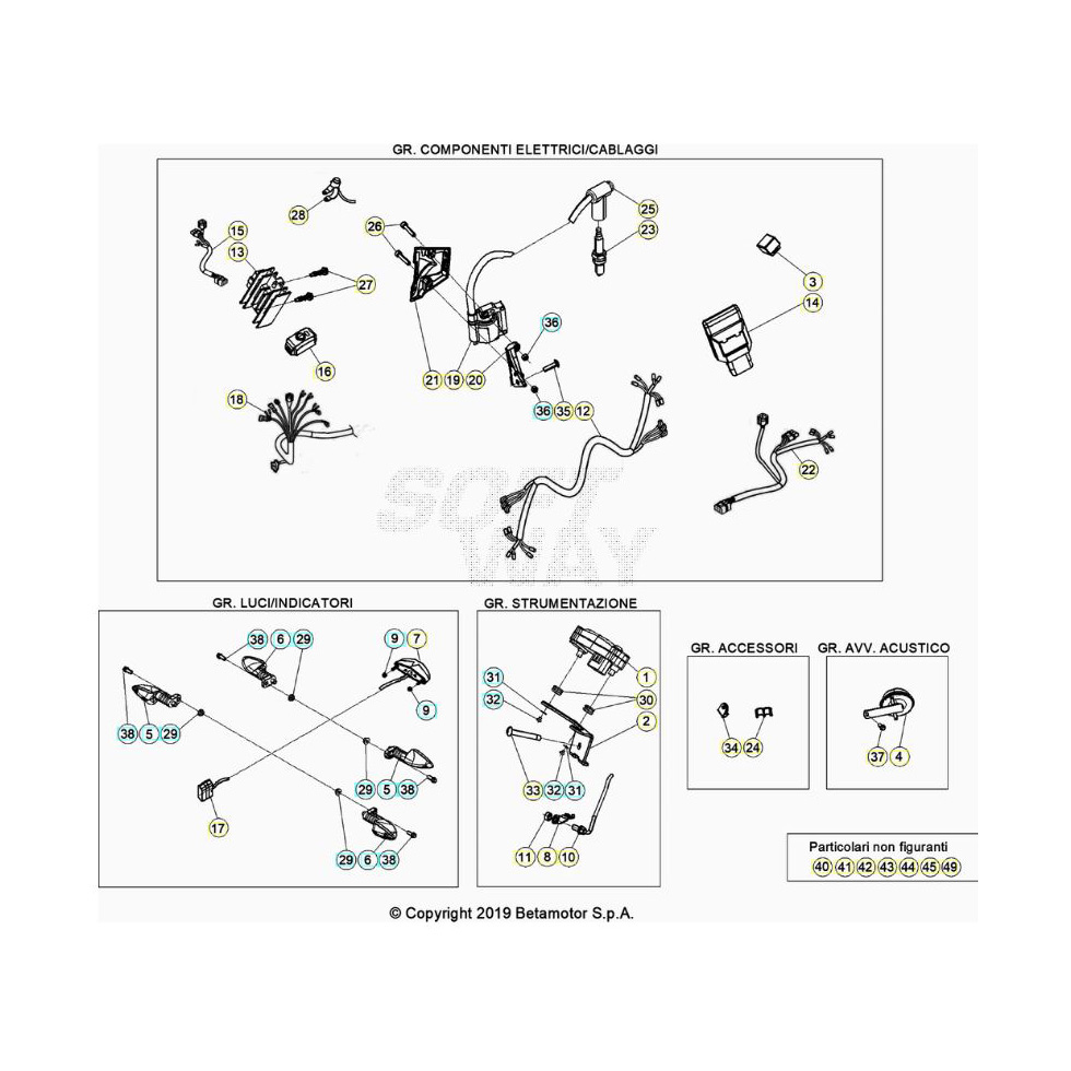 Beta EVO300 2T 20 Kabelstrang Ersatzteile Beta EVO300 2T 20 Kabelstrang Ersatzteile