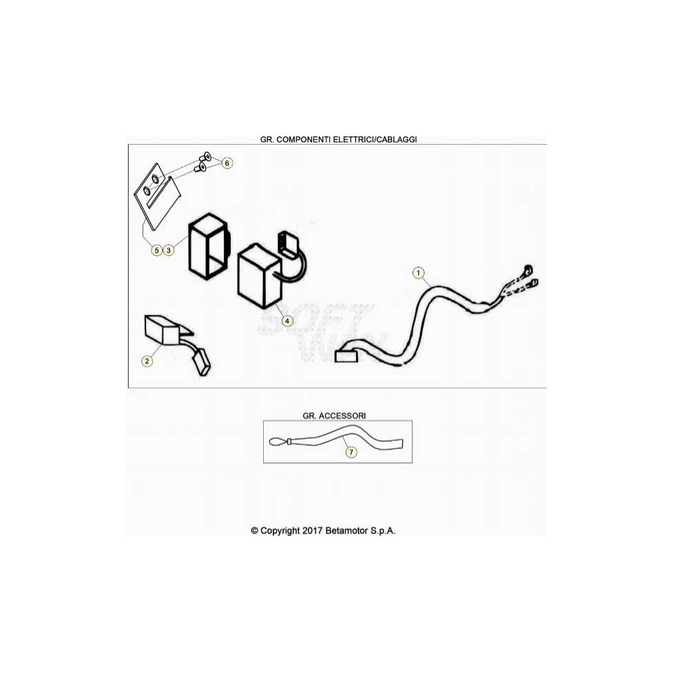 Beta EVO80 Junior 22 Kabelstrang Ersatzteile Beta EVO80 Junior 22 Kabelstrang Ersatzteile
