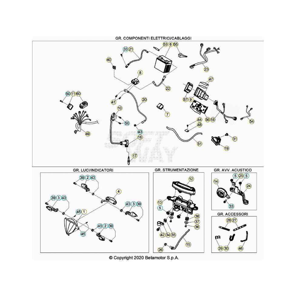 Beta RR200 21 Kabelstrang Ersatzteile Beta RR200 21 Kabelstrang Ersatzteile