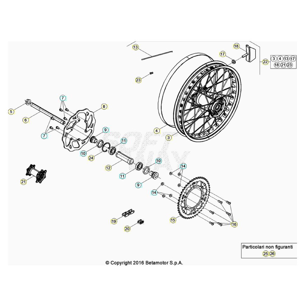 Beta Xtrainer300 24 Hinterrad Ersatzteile Beta Xtrainer300 24 Hinterrad Ersatzteile