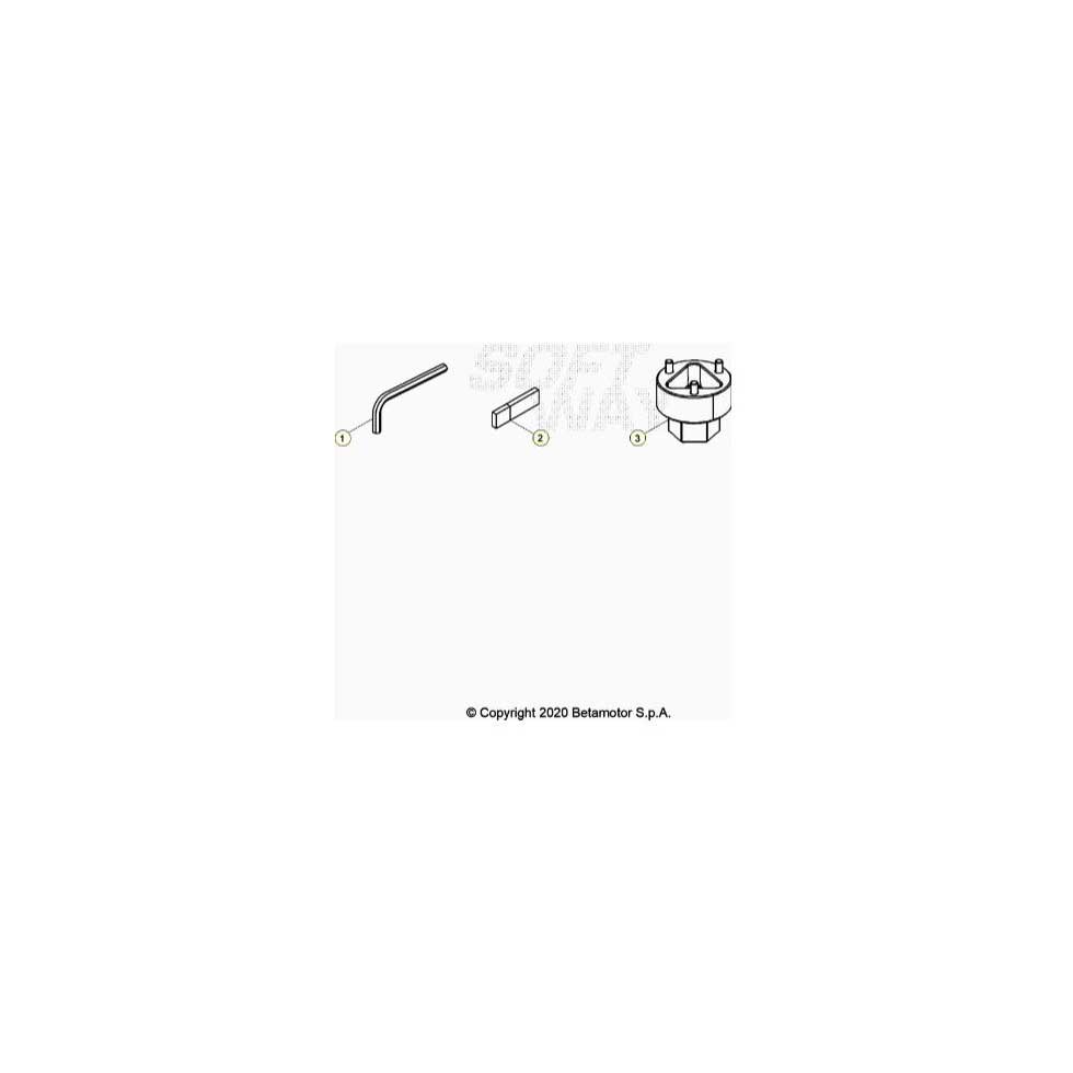 Beta  EVO250 Factory 21 Spezialwerkzeug Ersatzteile