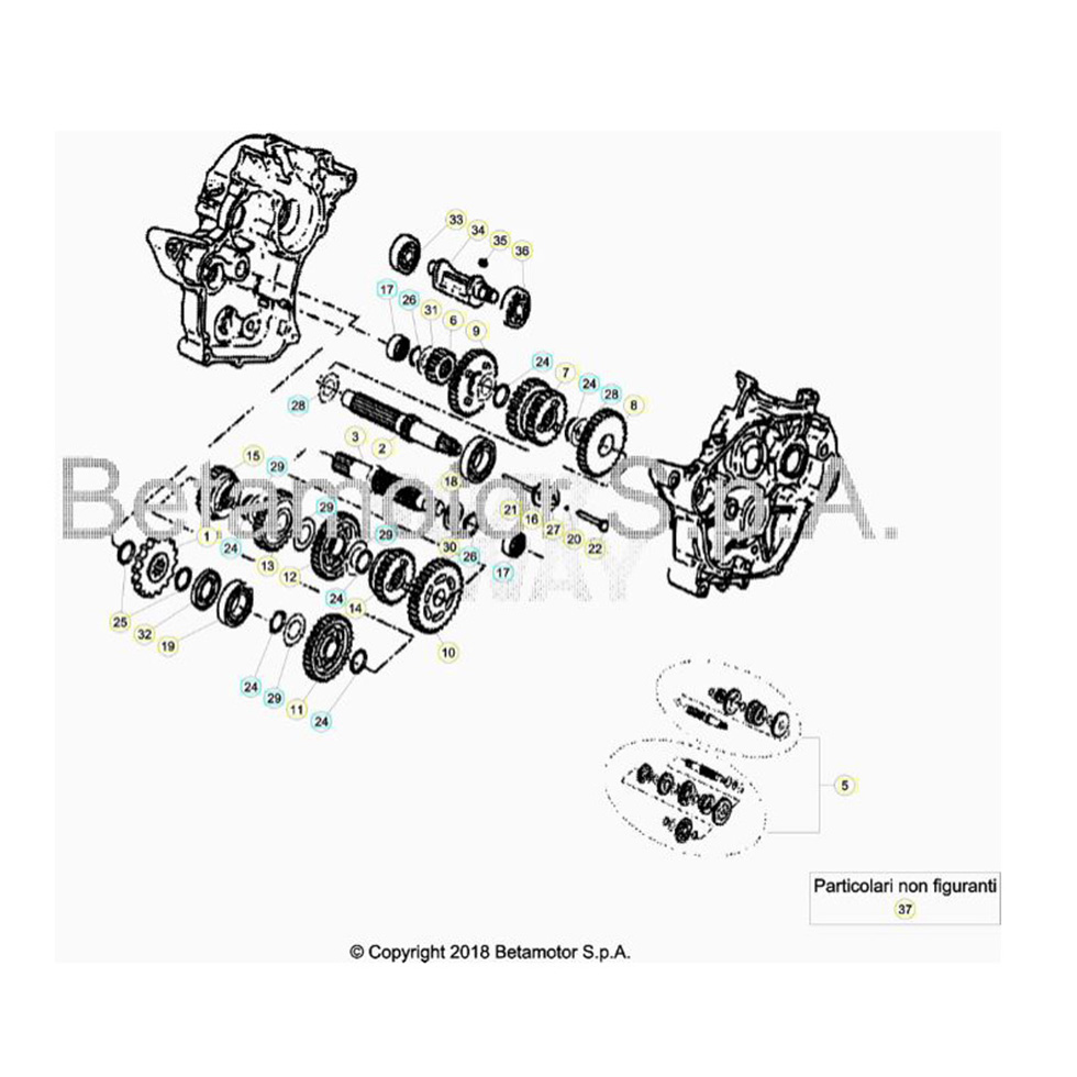 Beta RR50 19 Getriebe Ersatzteile