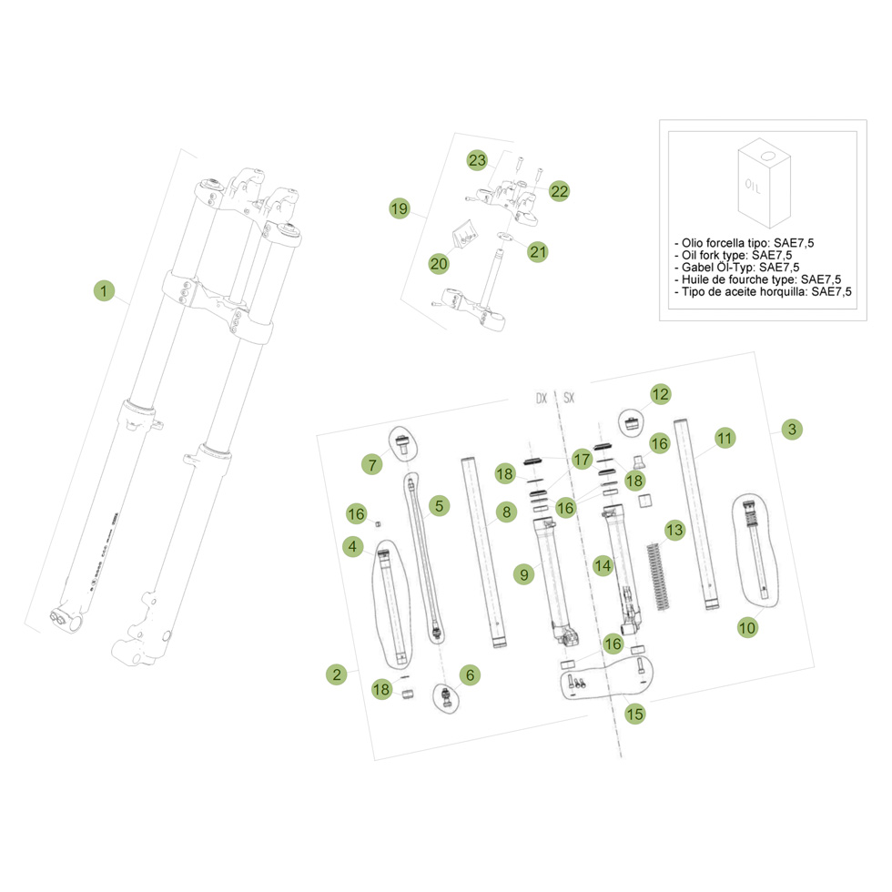Beta EVO125 Factory 13 Gabel 2 Ersatzteile Beta EVO125 Factory 13 Gabel 2 Ersatzteile