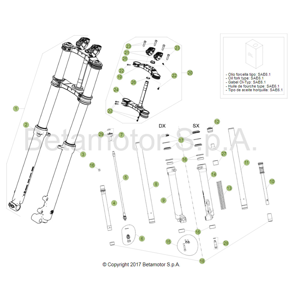 Beta EVO125 Factory 17 Gabel Ersatzteile Beta EVO125 Factory 17 Gabel Ersatzteile