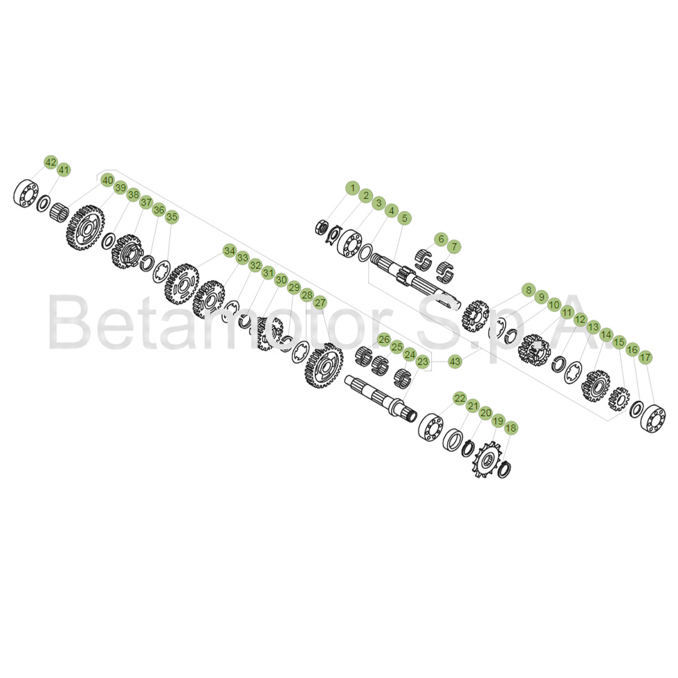 Beta EVO125 Factory 17 Getriebe Ersatzteile Beta EVO125 Factory 17 Getriebe Ersatzteile