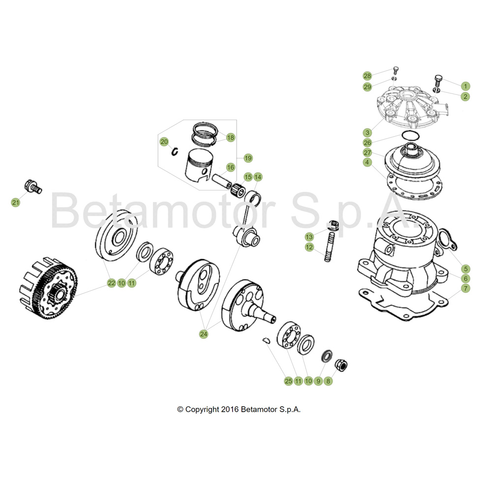 Beta EVO250 19 Kurbelwelle/Kolben/Ausgleichswelle Ersatzteile Beta EVO250 19 Kurbelwelle/Kolben/Ausgleichswelle Ersatzteile