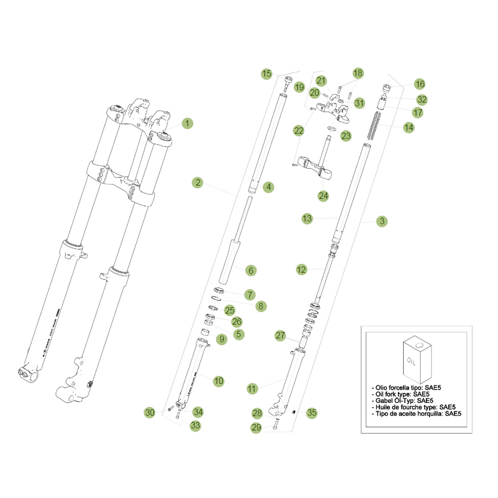 Beta EVO250 Factory 12 Gabel 1 Ersatzteile
