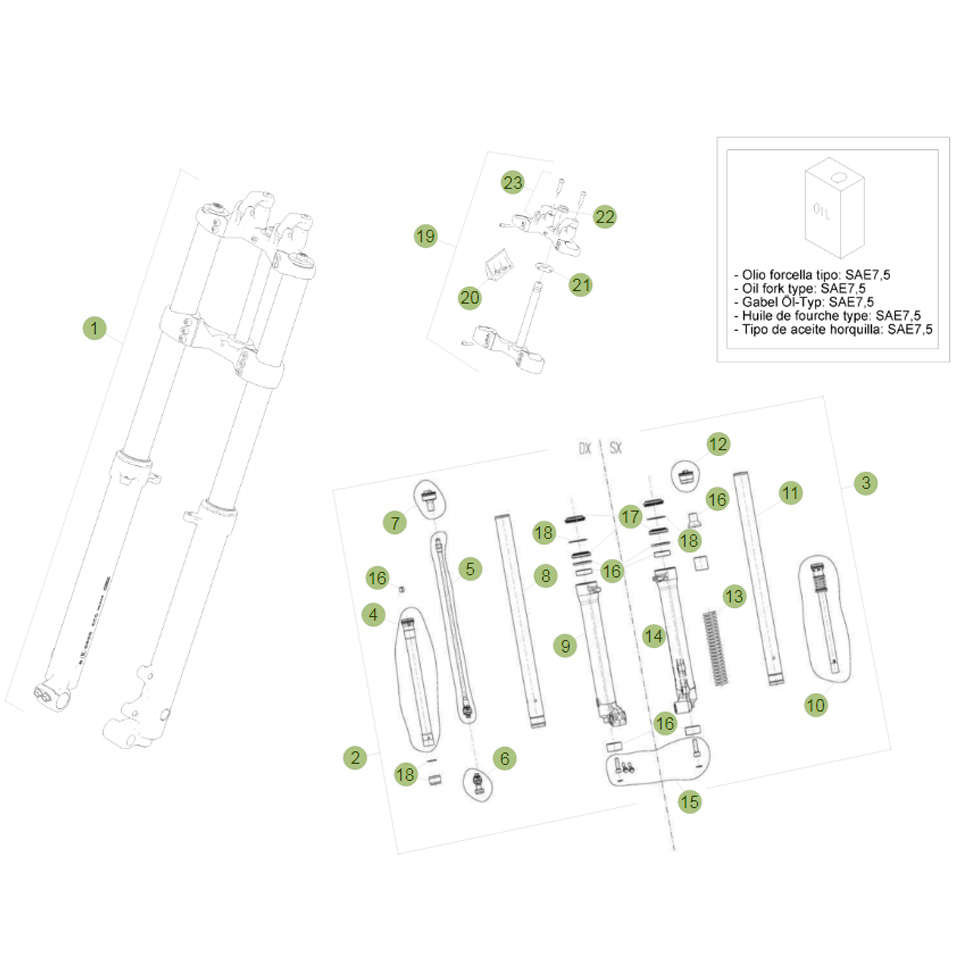 Beta EVO250 Factory 13 Gabel 2 Ersatzteile