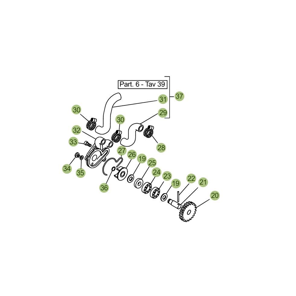 Beta EVO250 Factory 12 Schmiersystem Ersatzteile