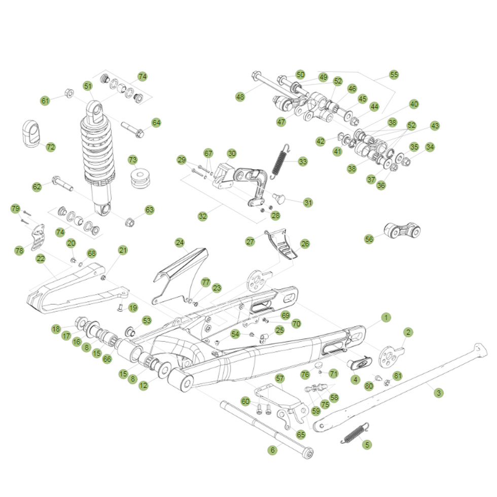 Beta EVO250 Factory 15 Schwingarm/Federbein 1 Ersatzteile