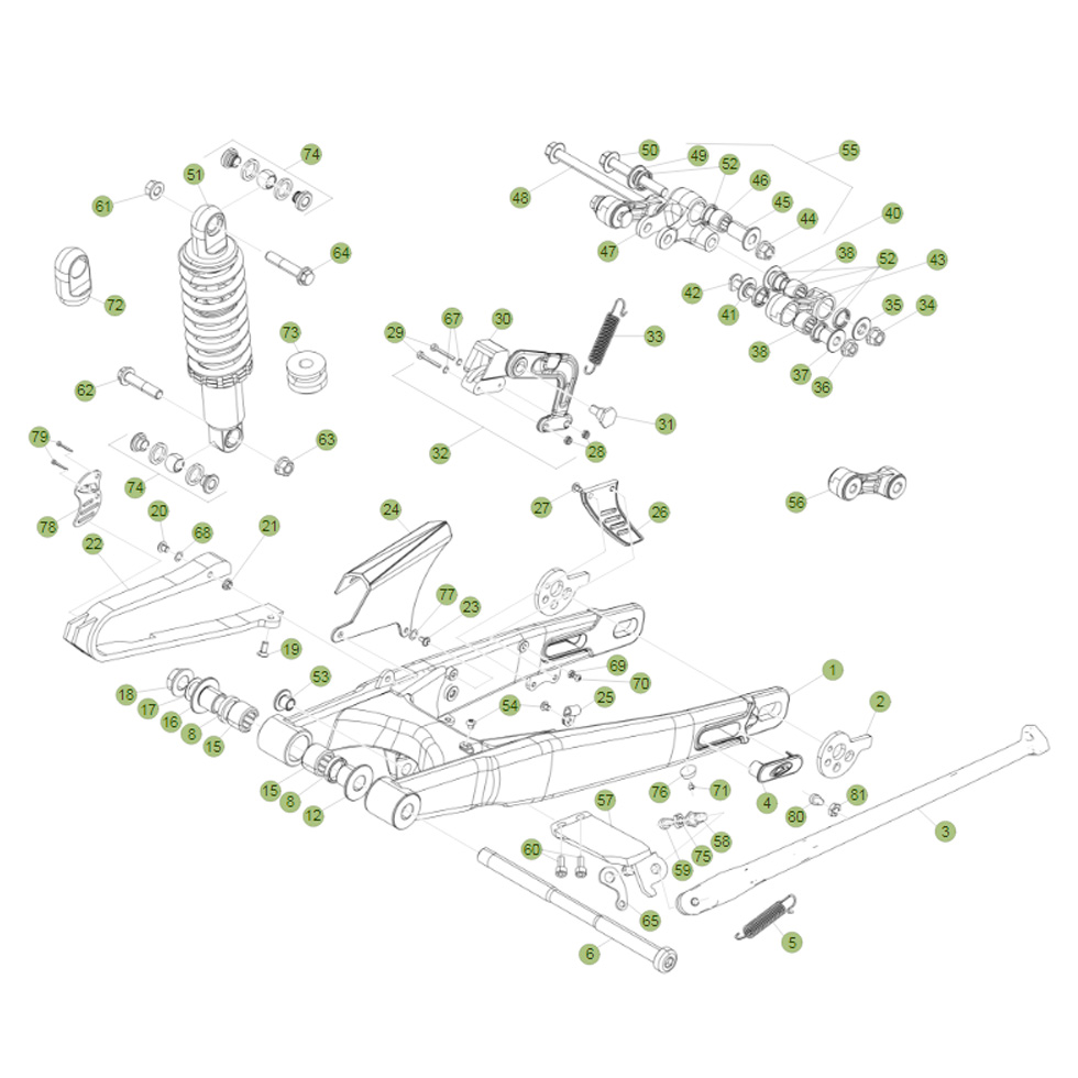 Beta EVO250 Factory 16 Schwingarm/Federbein 1 Ersatzteile