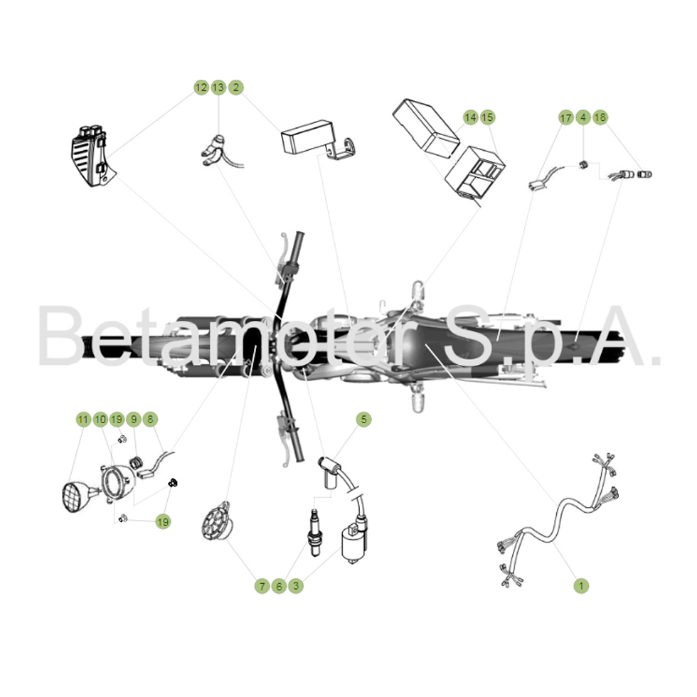 Beta EVO250 Factory 16 Kabelstrang Ersatzteile