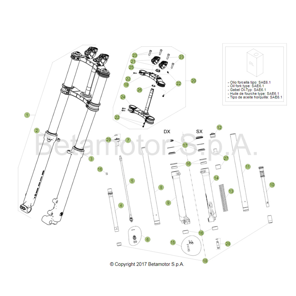 Beta  EVO250 Factory 20 Gabel Ersatzteile