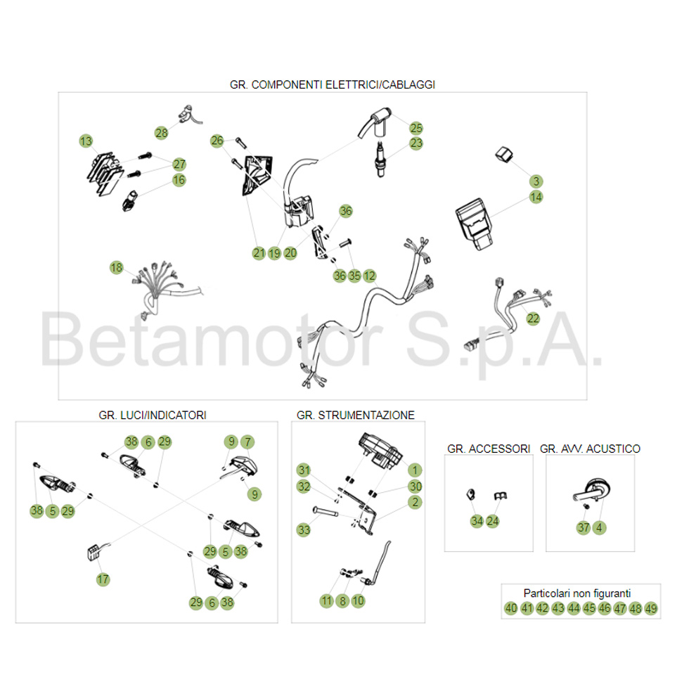 Beta EVO250 Factory 17 Kabelstrang Ersatzteile