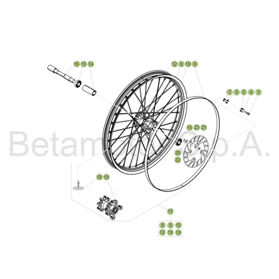 Beta  EVO250 Factory 20 Vorderrad Ersatzteile