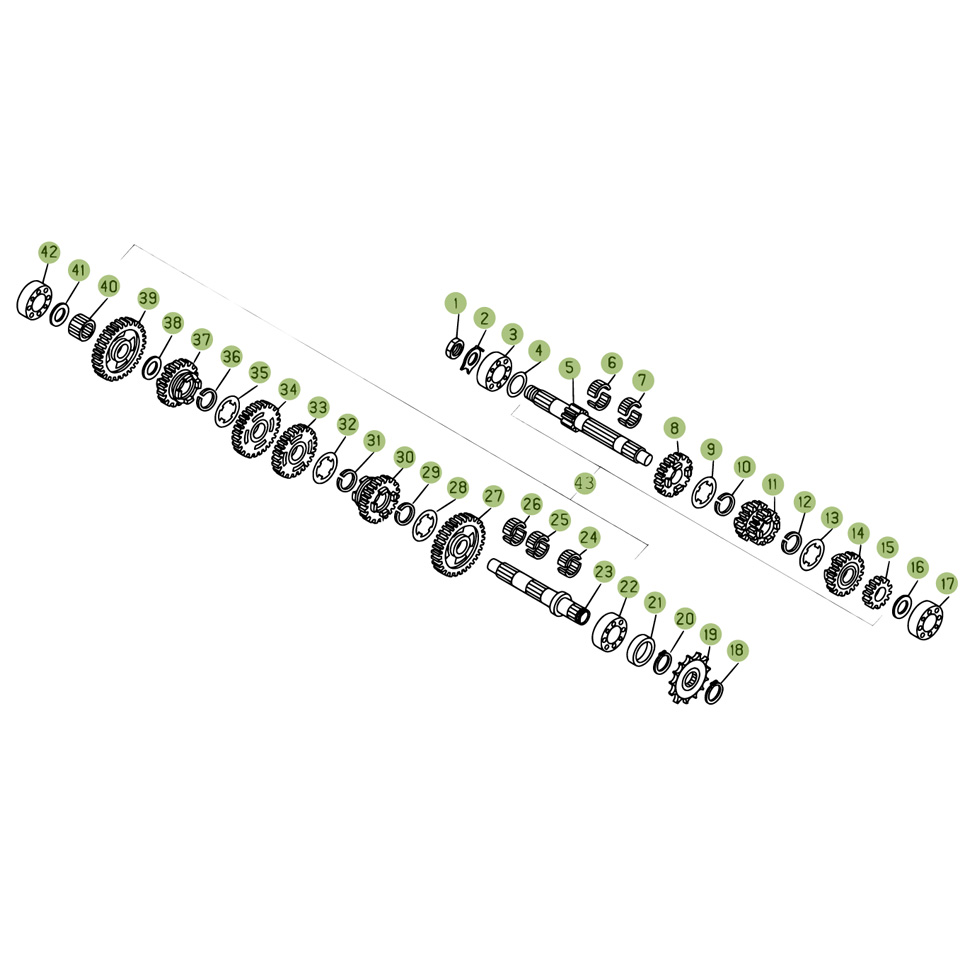 Beta EVO300 Factory 15 Getriebe Ersatzteile