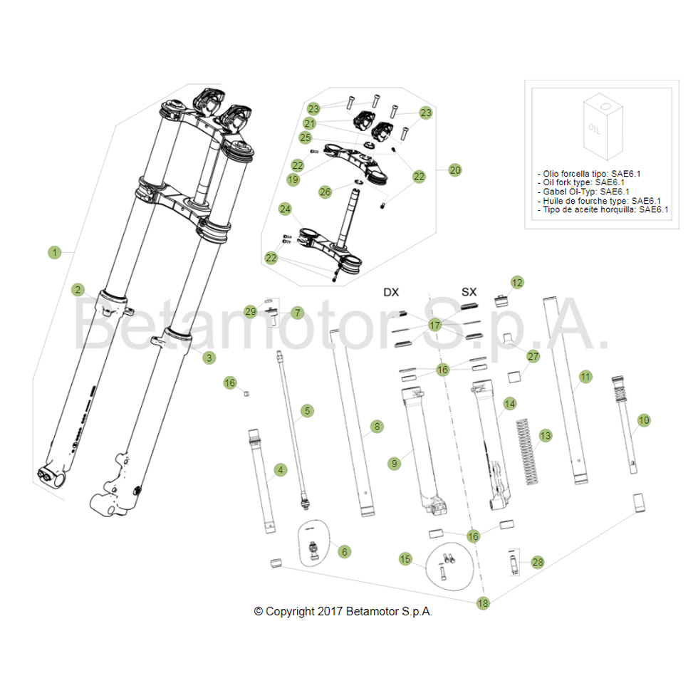 Beta EVO300 Factory 21 Gabel Ersatzteile