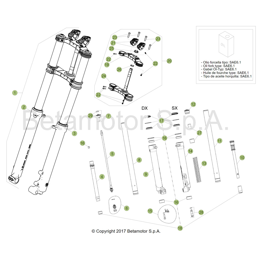 Beta EVO300 Factory 4T 17 Gabel Ersatzteile Beta EVO300 Factory 4T 17 Gabel Ersatzteile