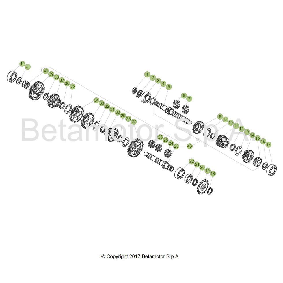 Beta EVO300 SS 17 Getriebe Ersatzteile Beta EVO300 SS 17 Getriebe Ersatzteile