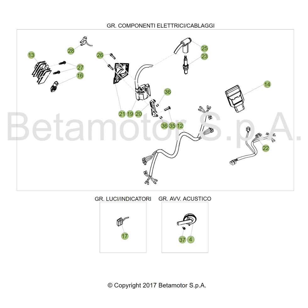 Beta EVO300 SS Factory 17 Kabelstrang Ersatzteile
