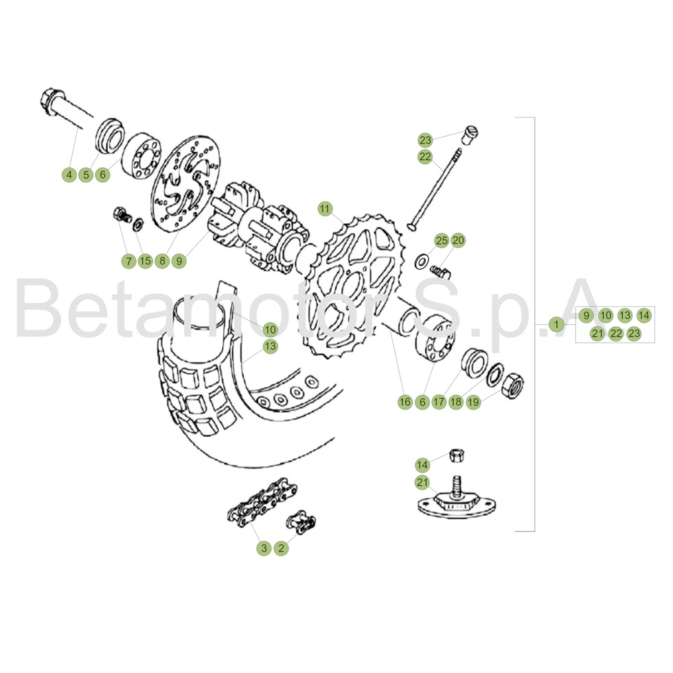 Beta EVO80 Junior 19 Hinterrad Ersatzteile Beta EVO80 Junior 19 Hinterrad Ersatzteile