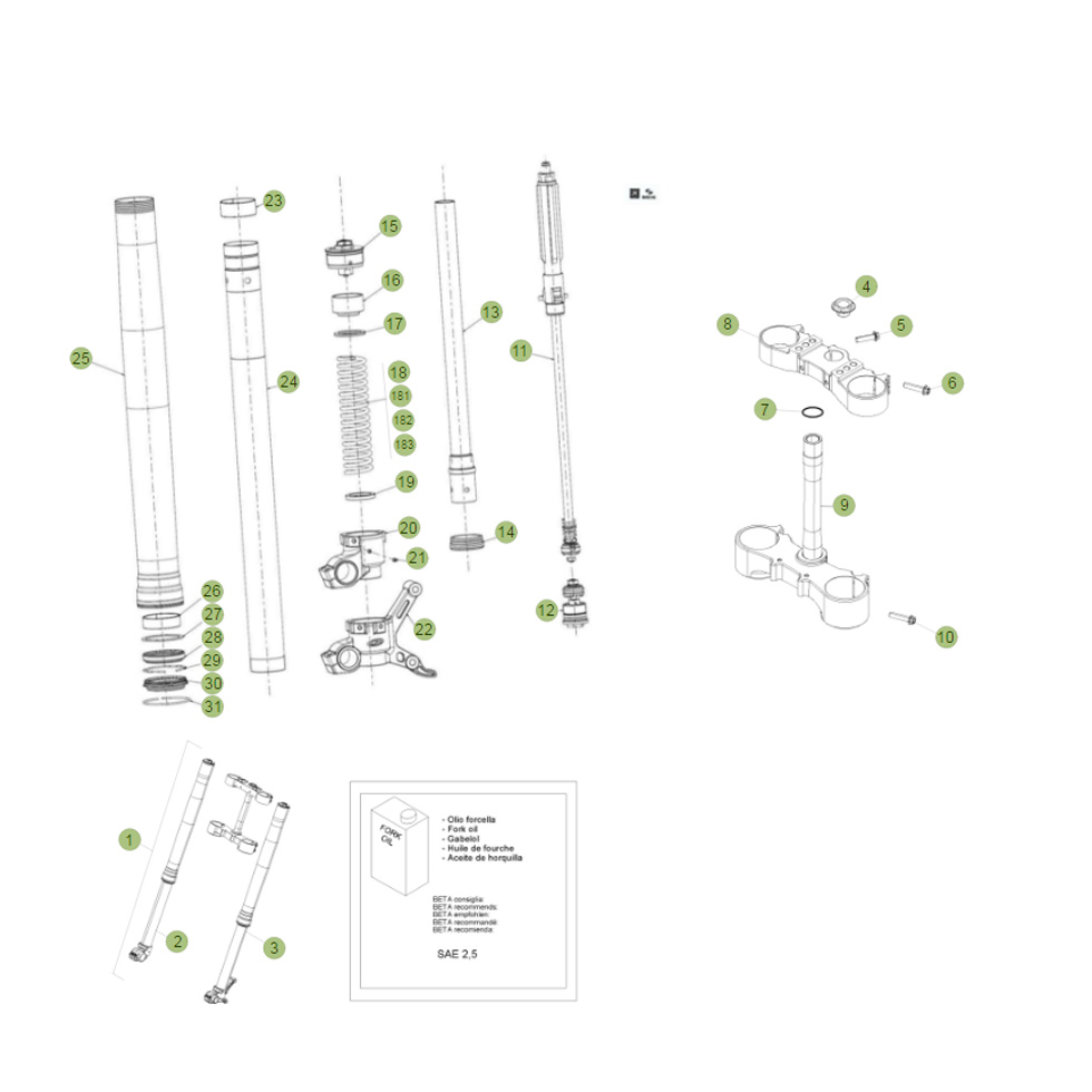 Beta RR250 2T 14 Gabel 1 Ersatzteile