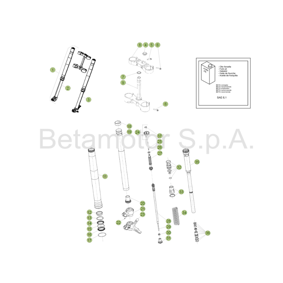 Beta RR300RC 19 Gabel Ersatzteile