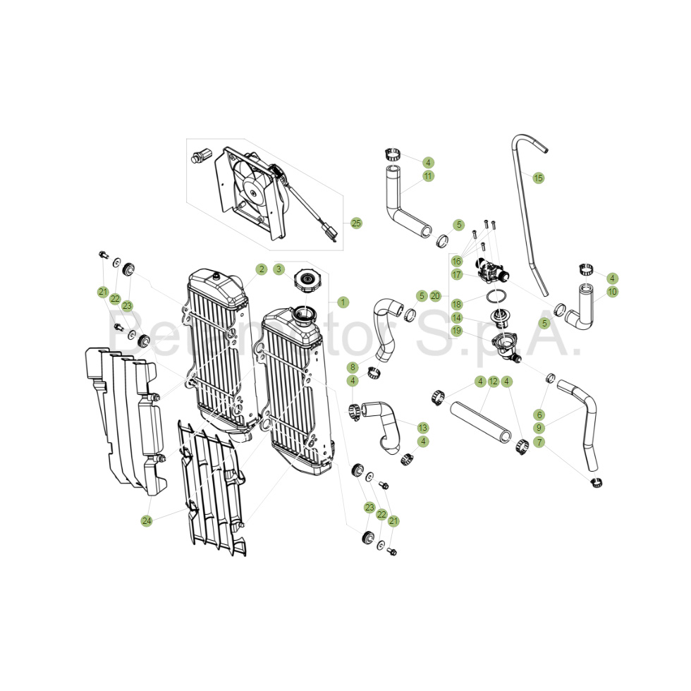 Beta RR300RC 19 Kühlsystem Ersatzteile