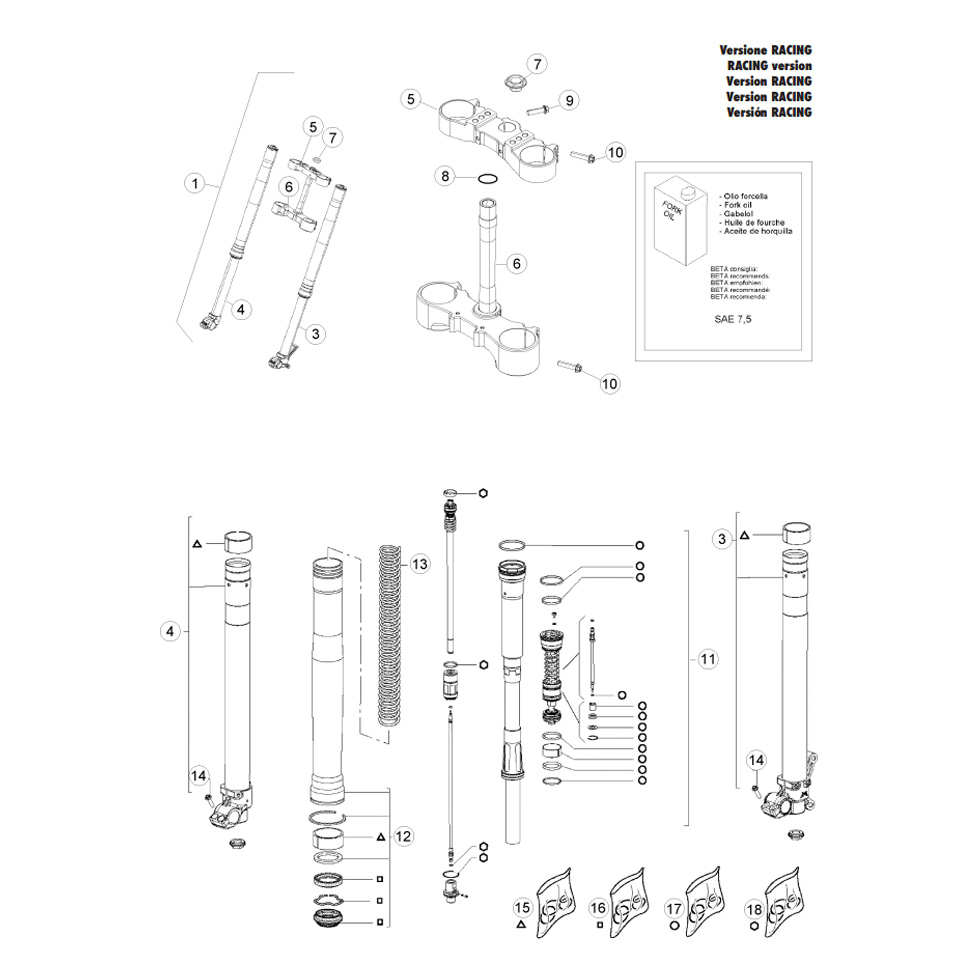 Beta RR400 13 Gabel 1 Ersatzteile