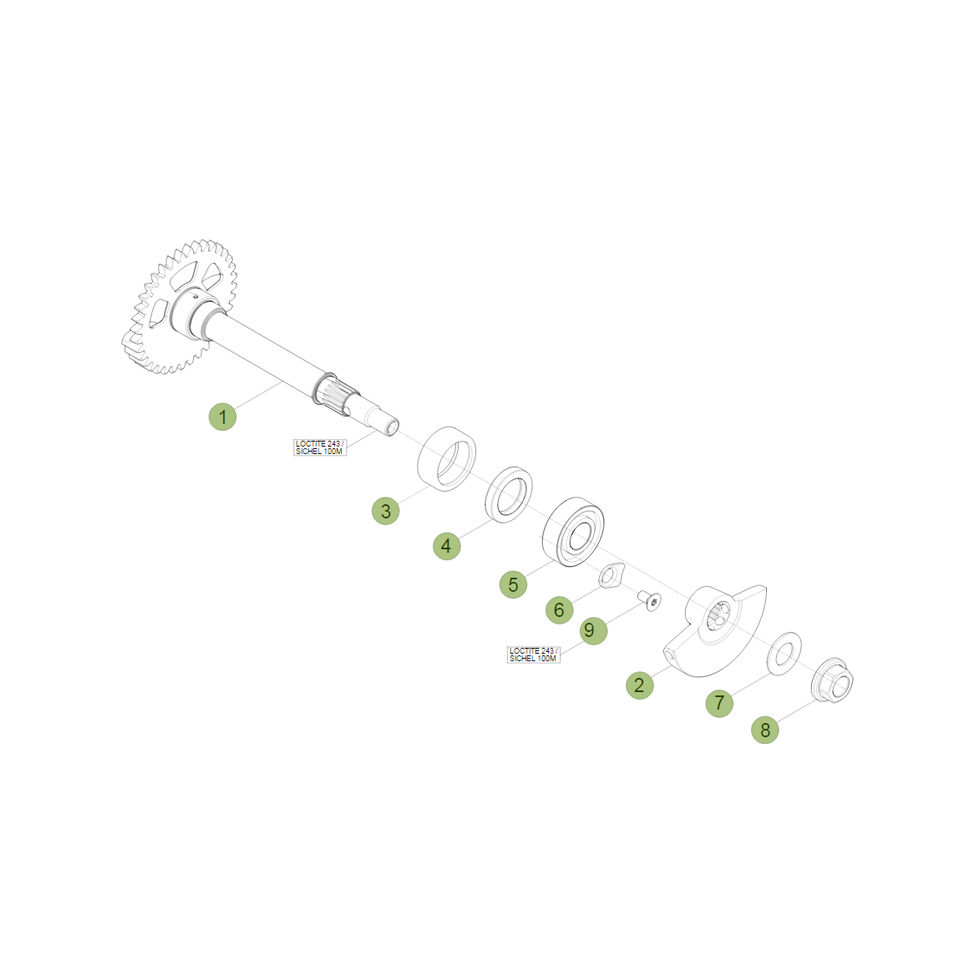 Beta RR430 15 Kurbelwelle/Kolben/Ausgleichswelle 1 Ersatzteile