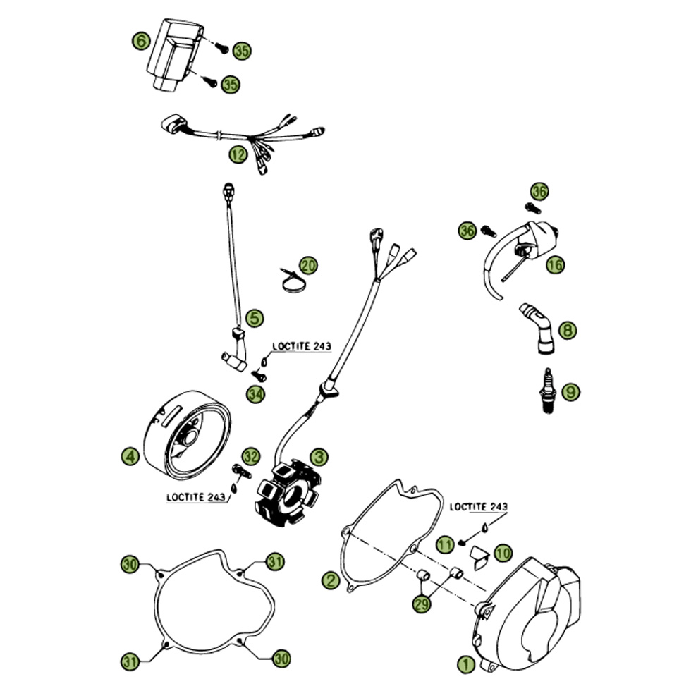 Beta RR450 06 Zündanlage Ersatzteile Beta RR450 06 Zündanlage Ersatzteile