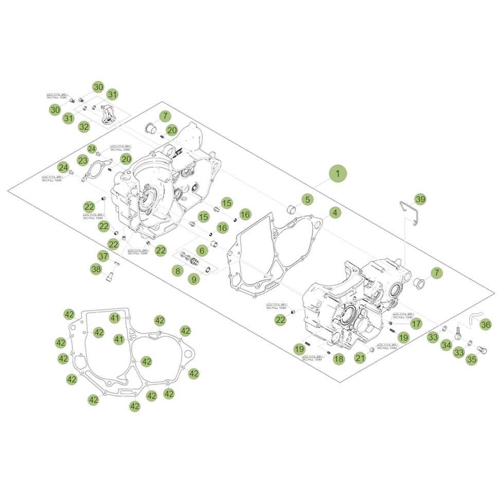 Beta RR450 Factory 12 Motorgehäuse 1 Ersatzteile