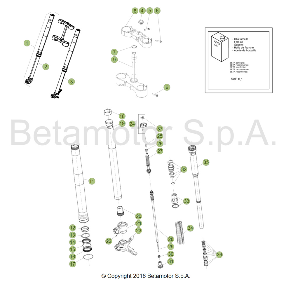 Beta RR350 Racing 4T 18 Gabel Ersatzteile