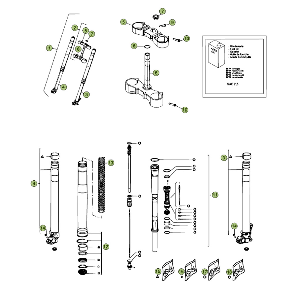 Beta RR498 Factory 12 Gabel 2 Ersatzteile