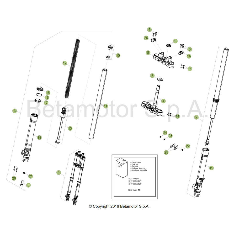 Beta RR50 Sport 17 Gabel Ersatzteile