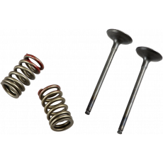 Prox VALVE EX/SPRING KXF250 04-16/ RMZ250 04-06