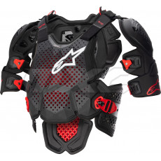 Alpinestars A-10 V2 Roost Guard