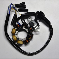 OEM Original CDI Yamaha YZF450 08 gebraucht