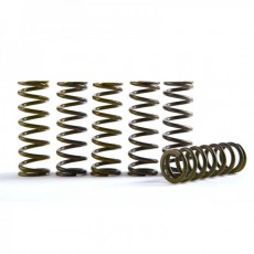 Hinson Clutch Springs for BTL (Slipper Clutch)