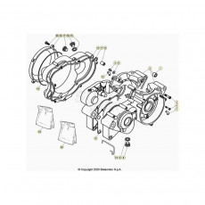 Beta  EVO250 Factory 23 Motorgehäuse
