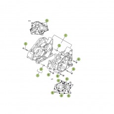 Beta RR125 LC 14-15 Motorgehäuse 1