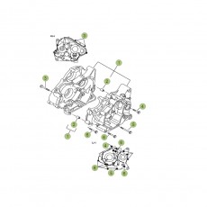 Beta RR125 LC 16 Motorgehäuse 1