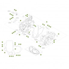 Beta RR350 Racing 16 Motorgehäuse 1