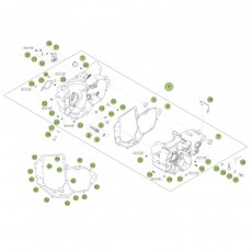 Beta RR450 Factory 12 Motorgehäuse 1