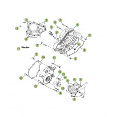 Beta RR125 LC 13 Motorgehäuse 2