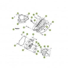 Beta RR125 LC 16 Motorgehäuse 2