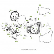 Beta RR250RC 19 Motorgehäuse 2