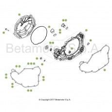 Beta RR350 Racing 4T 18 Motorgehäuse 2