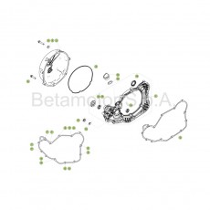 Beta RR350 Racing 17 Motorgehäuse 2